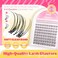 JIMIRE Venus Lash Clusters with Bottom Lashes Natural Look Wispy 1016MM Eyelash Clusters DCurly Cluster Eyelash Extensions 112Pcs DIY Lash Extension Invisible Band Lashes Clusters