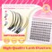 JIMIRE Venus Lash Clusters with Bottom Lashes Natural Look Wispy 1016MM Eyelash Clusters DCurly Cluster Eyelash Extensions 112Pcs DIY Lash Extension Invisible Band Lashes Clusters