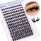 Newcally Lash Clusters Wispy Lash Extension Dcurly Eyelash Clusters Natural Look 1018mm Cluster Eyelash Extensions 144Pcs Volume Individual Lashes Spiky Cluster Lashes Manga by