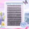 Newcally Lash Clusters Wispy Lash Extension Dcurly Eyelash Clusters Natural Look 1018mm Cluster Eyelash Extensions 144Pcs Volume Individual Lashes Spiky Cluster Lashes Manga by
