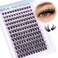 Newcally Lash Clusters Wispy Lash Extension Dcurly Eyelash Clusters Natural Look 1018mm Cluster Eyelash Extensions 144Pcs Volume Individual Lashes Spiky Cluster Lashes Manga by