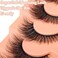 zanlufly Mink Lashes Cat Eye False Lashes Fox Eye False Eyelashes Lashes Natural DCurly Volume Fake Eyelashes Soft Handmade Lashes that Look Like Extensions Lashes Pack