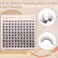 Winifred Natural Lash Clusters Clear Band Eyelash Clusters Wispy Lashes Clusters 814mm Cluster Eyelash Extensions C Curvature Individual Lashes DIY Lash Extension Natural Look by