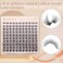 Winifred Natural Lash Clusters Clear Band Eyelash Clusters Wispy Lashes Clusters 814mm Cluster Eyelash Extensions C Curvature Individual Lashes DIY Lash Extension Natural Look by