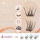 Winifred Natural Lash Clusters Clear Band Eyelash Clusters Wispy Lashes Clusters 814mm Cluster Eyelash Extensions C Curvature Individual Lashes DIY Lash Extension Natural Look by