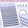Pawotence Fairy Lash Clusters Natural Eyelash Clusters 1016mm Manga Lashes Cluster Eyelash Extensions 144pcs Anime Individual Cluster Lashes Wispy for DIY Lash Extension