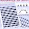 Pawotence Fairy Lash Clusters Natural Eyelash Clusters 1016mm Manga Lashes Cluster Eyelash Extensions 144pcs Anime Individual Cluster Lashes Wispy for DIY Lash Extension