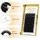 QUEWEL Easy Fan Lash Extensions 003mm D Curl Eyelash Extensions 815mm Mixed Lash Trays Matte Black Ultra Lightweight C CC D DD Curl Volume Lashes Self Fanning Lashes 003D Mix815mm