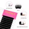 TDANCE Easy Fan Lash Extension Rapid Blooming Volume Eyelash Extensions C CC D DD J B L Curl 003012mm Thickness Easy Fan Volume Lashes Self Fanning Eyelashes Extension 005C13 mm