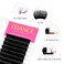 TDANCE Easy Fan Lash Extension Rapid Blooming Volume Eyelash Extensions C CC D DD J B L Curl 003012mm Thickness Easy Fan Volume Lashes Self Fanning Eyelashes Extension 005C13 mm