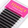 TDANCE Lash Spikes Matte Black 5D Spikes Lash Extensions Natural Look 5D Flower Eyelash Extensions for Professional Use Spikes Lashes5DFlowerD0071017mm