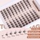 TOOCHUNAG Wispy Lash Clusters Natural Cluster Eyelash Extensions 3D Fairy Individual Lashes Clusters Eyelashes CD Curve LeftRight 715mm DIY Lash Extension at Home