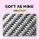 WONSIS Individual Lashes Lash Clusters 280 Pcs 40D Individual Lash Extensions Natural Soft Lightweight Reusable Thickness 007mm C Curl False Eyelashes 8910111213141516mm 40D 816mm