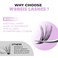 WONSIS Individual Lashes Lash Clusters 280 Pcs 40D Individual Lash Extensions Natural Soft Lightweight Reusable Thickness 007mm C Curl False Eyelashes 8910111213141516mm 40D 816mm