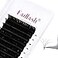 FADLASH Volume Lash Extensions Multi Length Easy Fan Lashes 03 05 07 Automatic Blooming Eyelash Extensions C D DD L Curl 007D Camellia 111213mm