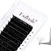 FADLASH Easy Fan Lash Extensions Volume Eyelash Extensions 005 007mm Self Fanning Lashes 3D10D Volume Fans CDDD Curl 820mm Length 005D 15mm