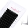 FADLASH Volume Lash Extensions Easy Fan Volume Lashes 005 007mm Mixed Tray Self Fanning Eyelash Extensions CDDD Curl Easy Fan Lashes 820mm 005C Mix 814mm