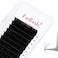 FADLASH Volume Lash Extensions Easy Fan Volume Lashes 005 007mm Mixed Tray Self Fanning Eyelash Extensions CDDD Curl Easy Fan Lashes 820mm 005C Mix 814mm