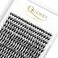 QUEWEL Cluster Lashes 240Pcs Individual Lashes 40D 007D Curl Mix814mm Lash Extensions Clusters Lash SoftNatural False Eyelashes Individual DIY Eyelash Extension at Home40D 007D MIX814