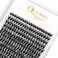 QUEWEL Cluster Lashes 240Pcs Individual Lashes 40D 007D Curl Mix814mm Lash Extensions Clusters Lash SoftNatural False Eyelashes Individual DIY Eyelash Extension at Home40D 007D MIX814