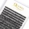 QUEWEL Cluster Lashes 240Pcs Individual Lashes 40D 007D Curl Mix814mm Lash Extensions Clusters Lash SoftNatural False Eyelashes Individual DIY Eyelash Extension at Home40D 007D MIX814