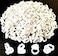 Jusbuya Blossom 300 PCS Heart Glue Cups for Lash Extension Supplies Fan Fanning Eyelash Glue Holder White