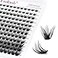 FADLASH Lash Clusters DIY Eyelash Extensions 144 Clusters Lashes D Curl 007 Natural Individual Lash Extensions Mixed Tray False Eyelashes Soft Strong Thin Band DIY at Home F31007D 816mm