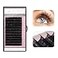 Qeelasee Faux Mink Silk Eyelash Extensions 003mm D Curl 12mm SemiPermanent Individual Lashes Extension Professional Salon Use