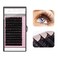 Qeelasee Faux Mink Silk Eyelash Extensions 003mm D Curl 12mm SemiPermanent Individual Lashes Extension Professional Salon Use