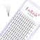FADLASH 6D Premade Volume Fans Eyelashes Extension Thickness 007 C Curl Black Soft Individual Eyelashes Makeup Fake Lashes Cluster 820mm to Choose 6D007C 12mm