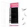 TDANCE Easy Fan Lash Extension Rapid Blooming Volume Eyelash Extensions C CC D DD J B L Curl 003012mm Thickness Easy Fan Volume Lashes Self Fanning Eyelashes Extension 003CC2025 mm