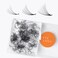 Eyesy Lash 500 Promade Fans Volume Premade Lash Fans for Eyelash Extensions Pointy Base Handmade Loose Pre Made Eyelashes Middle Stem Soft and Lightweight 6D 007 D 12mm