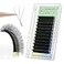ANNAFRIS 3D Premade Fan W Shape Clover Eyelash Extensions 007 C Curl 12mm Self Fanning W Lashes Extension Makeup Supplies Professional Use 007 C 12mm