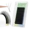 ANNAFRIS 3D Premade Fan W Shape Clover Eyelash Extensions 007 C Curl 12mm Self Fanning W Lashes Extension Makeup Supplies Professional Use 007 C 12mm