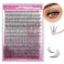 FADLASH Individual Lashes 1520mm Mix Cluster Lashes 240pcs DIY Lash Extension C Curl Lash Clusters Soft Individual Lash Extensions Eyelash Clusters Wispy Cluster Eyelash Extensions 20D007C 1520mm