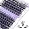 WENDY LASHES Cluster Eyelashes 30D40D 240PCS 1620mm Mixed CD Curl 007mm Matte Black Eyelash Extensions Soft Lightweight Individual Lashes Cluster 3D Effect