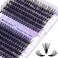 WENDY LASHES Cluster Eyelashes 30D40D 240PCS 1620mm Mixed CD Curl 007mm Matte Black Eyelash Extensions Soft Lightweight Individual Lashes Cluster 3D Effect