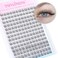 TNFVLONEINS Natural Lash Clusters Wispy Eyelash Extension 168Pcs Cluster Lashes Extensions Natural Individual Lashes 912mm Eyelash Clusters DIY Korean False Eyelashes by