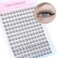 TNFVLONEINS Natural Lash Clusters Wispy Eyelash Extension 168Pcs Cluster Lashes Extensions Natural Individual Lashes 912mm Eyelash Clusters DIY Korean False Eyelashes by
