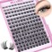 Ruairie Lash Clusters Wispy Eyelash Cluster Eyelash Extensions 154pcs Full Volume Cluster Lashes 816MM DCurly Individual Lashes DIY Lash Extensions Natural Eye Lash Clusters