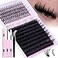 CORUSCATE Lash Clusters Kit 100D Long Lash Spikes Lash Extension Kit Thick Eyelash Clusters Volume Individual Lashes Kit Mega Cluster Eyelash Extensions Strip Lashes DIY Spiky Lash Bond and Seal by