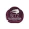 SETZ BLOT TRANSLUCENT POWDER