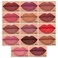 evpct Longwear Liquid Lip Liner Stain Marker Pen Long Lasting Waterproof Dark Red Brown Lips Marker Stain Matte Semi Permanent 24 Hour Lip Liner and Lipstick Combo Color Stay Lipliner Stains peel off