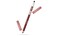 Pupa Milano True Lips Blendable Lip Liner 010 Burnt Sienna by for Women 0042 oz Lip Pencil