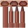 evpct 3Pcs Warm Brown Maroon Dark Wine Red Gradient Matte Lipstick Lip Liner Crayon Combo Pencil Set for Women Long Lasting Cream Lip Liner and Lipstick Combo MakeupFlawless Gradual Ombre Effect