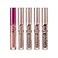 Ruby Kisses Forever Matte Liquid Lipstick 5 Pack RFML0205071219