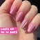 Olive & Olive June Maximalist Instant Mani PressOn Nails Glue 42 Fake Nails 21 Sizes NonToxic LongLasting Big Bold Gorgeous Realistic Look SalonQuality at Home Medium Coffin Rose Velvet