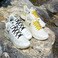 anan520 2 Pairs Elastic Shoelaces Elastic No Tie Shoe Laces For AdultsKidsElderly White