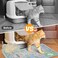 Glittme Cat Litter Mat with NonSlip Bottom Litter Box Mat 33X22 Litter Trapping Mat Easy to Clean Washable Cat Food Mat for KittyL