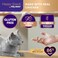 FELIWAY Happy Snack by Delicious Lickable Squeezable Pure Cat Treats for a Daily Calming Routine Made with Real Chicken 12 Pack 05oz Tubes